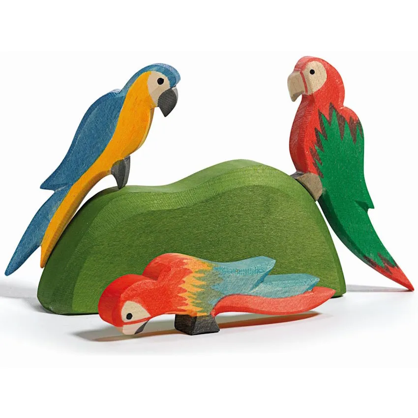 Ostheimer | Birds | Parrot Blue