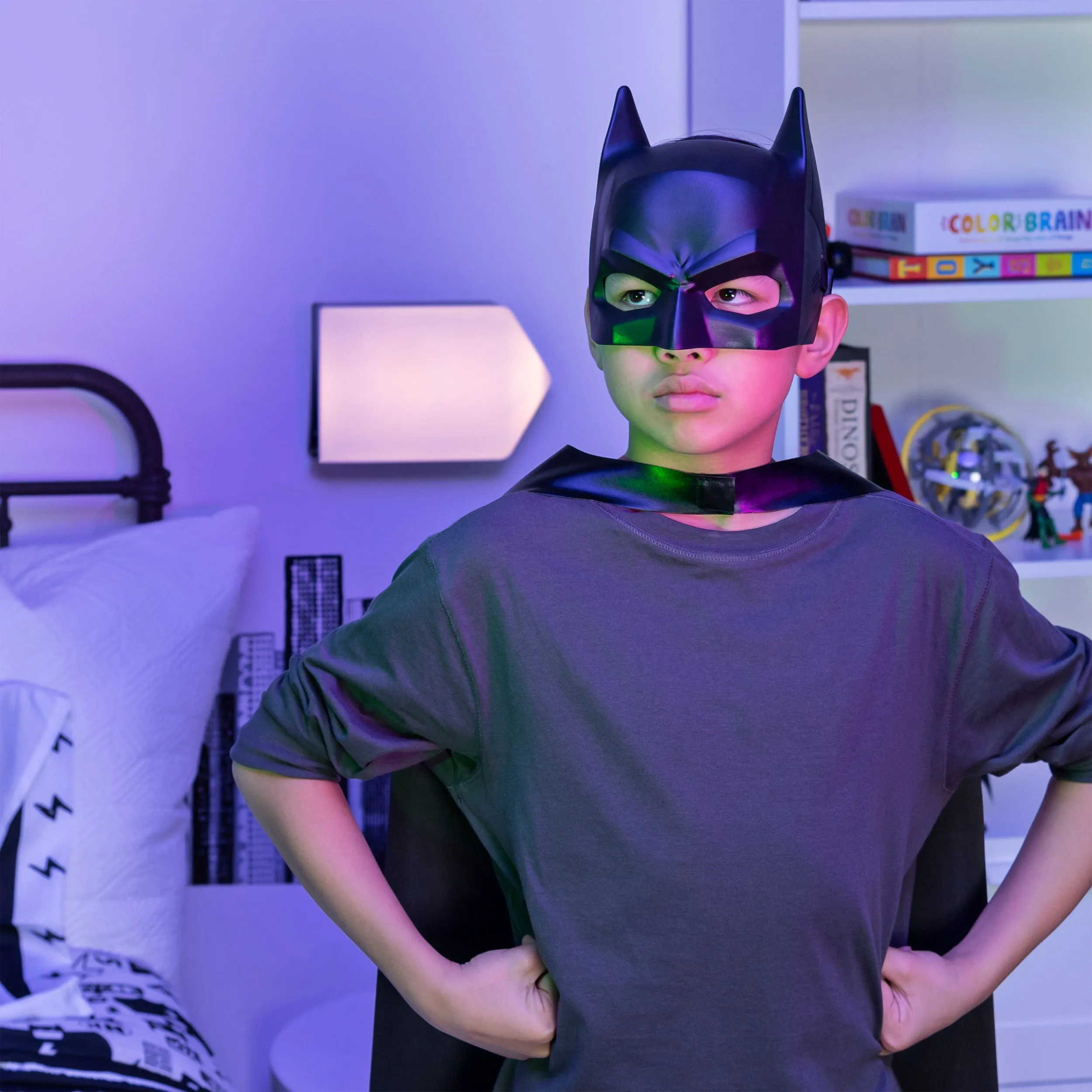 Batman Hero Mask Batman