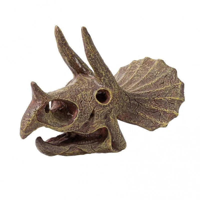 BUKI France Dino Museum Skull - Triceratops
