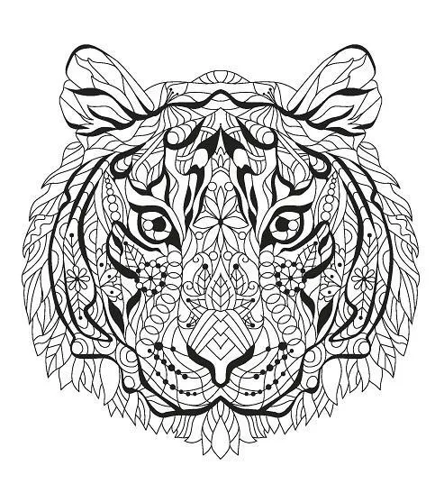 Colour Your Own Book & Puzzle Tiger Kingdom