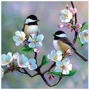Diamond Art Birds & Cherry Blossoms 30cm X 30cm