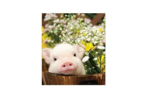 Diamond Art Pig 30cm X 40cm