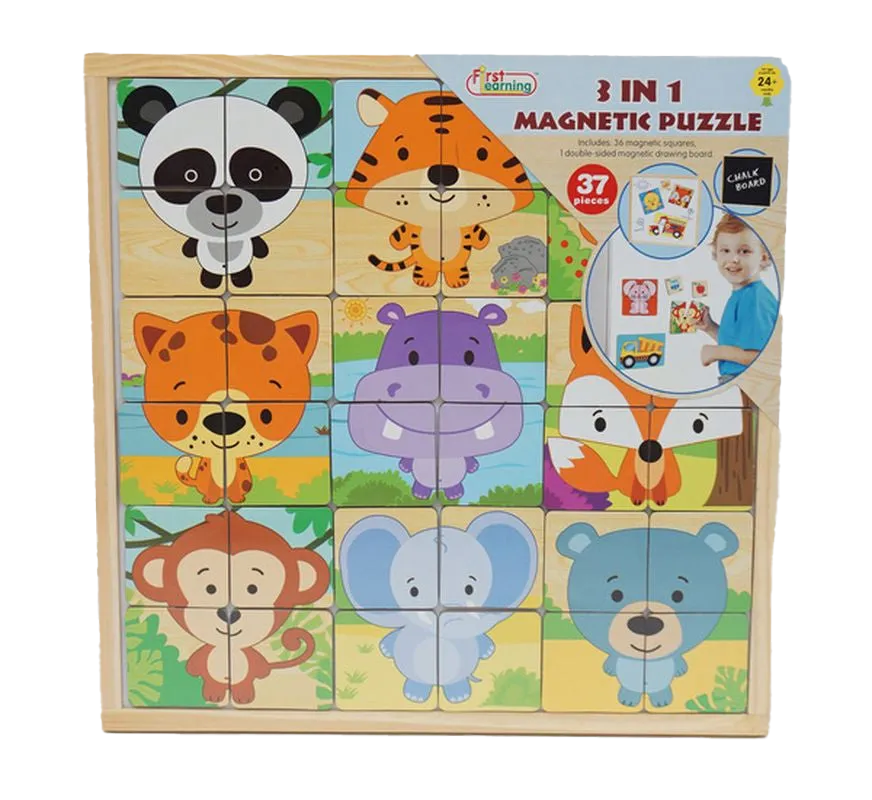 First Learning Wooden Magnetic Puzzle
