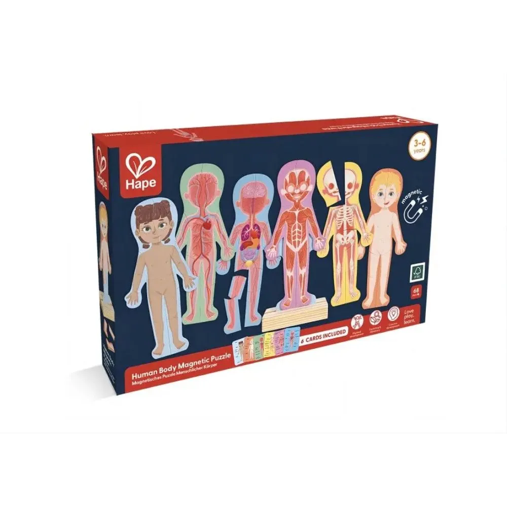 Hape Magnetic Human Body