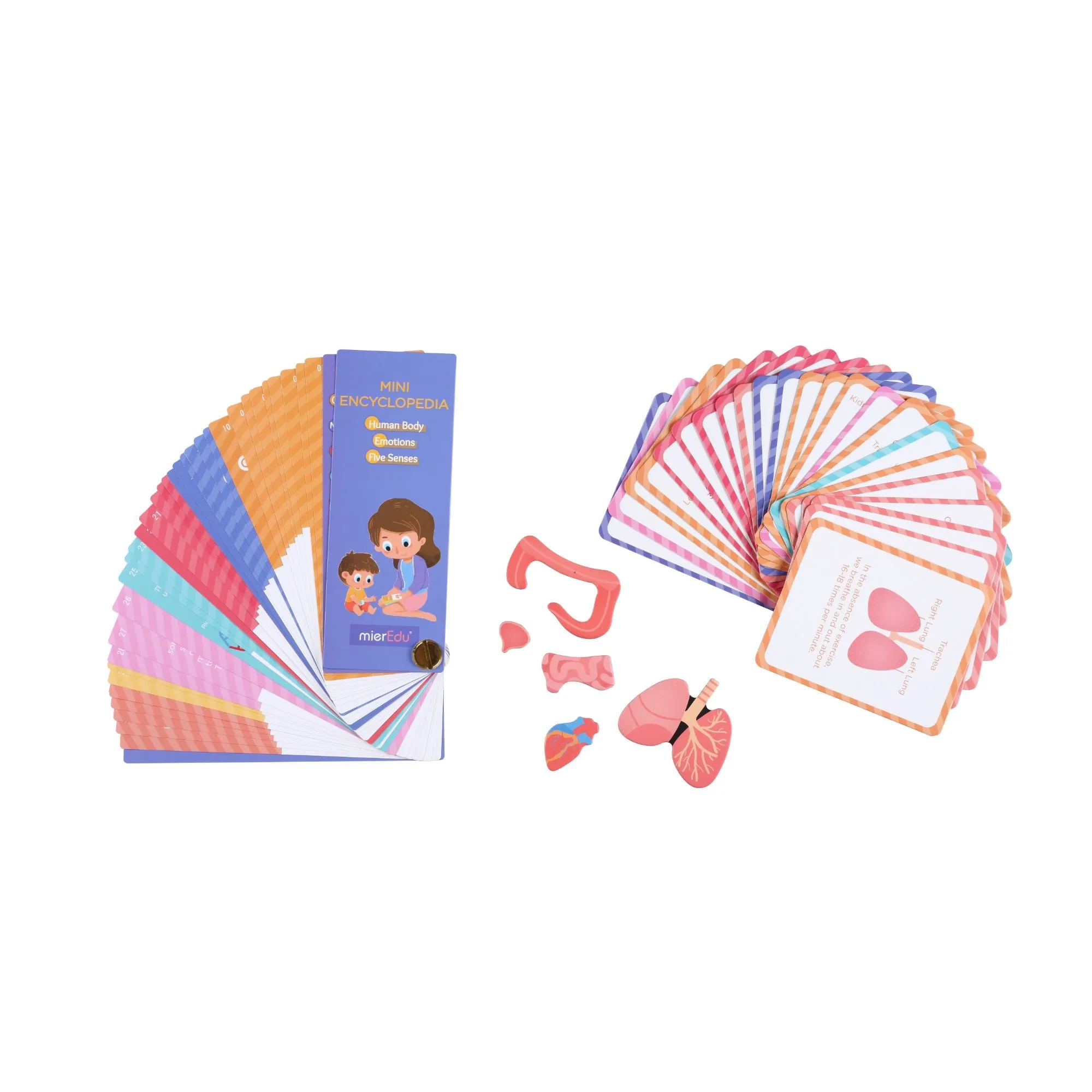 MierEdu Magnetic Puzzle - All About Body & Emotion
