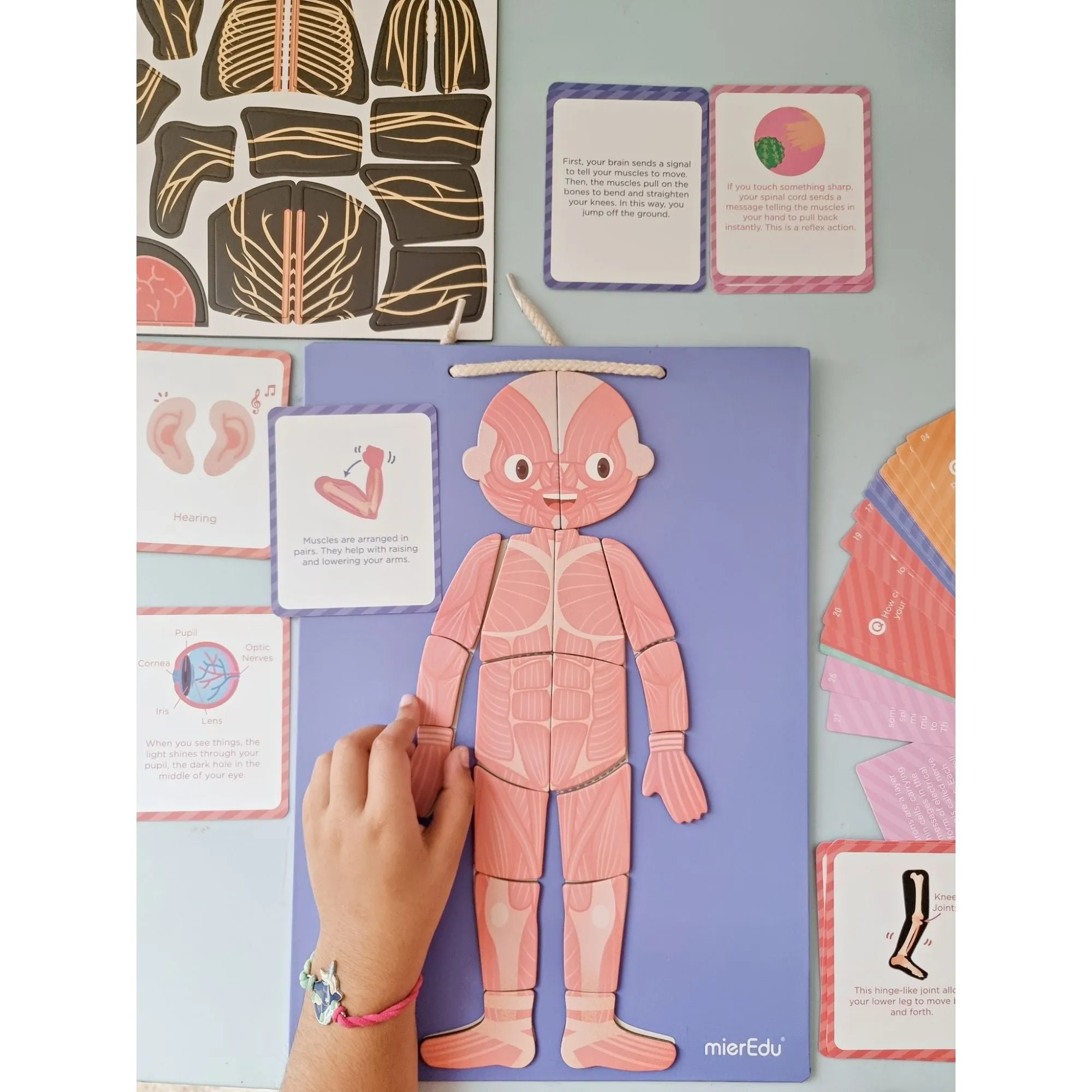 MierEdu Magnetic Puzzle - All About Body & Emotion