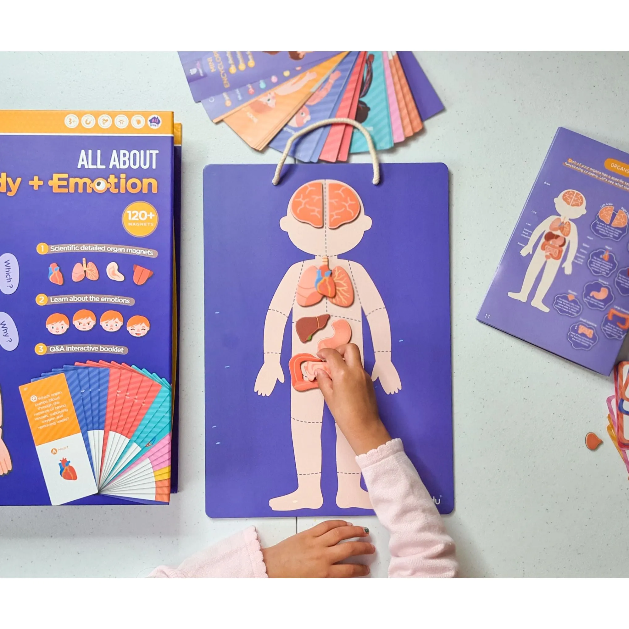 MierEdu Magnetic Puzzle - All About Body & Emotion