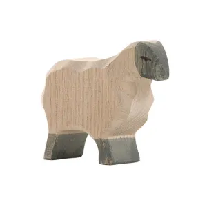 Ostheimer | Sheep | Moorland Sheep