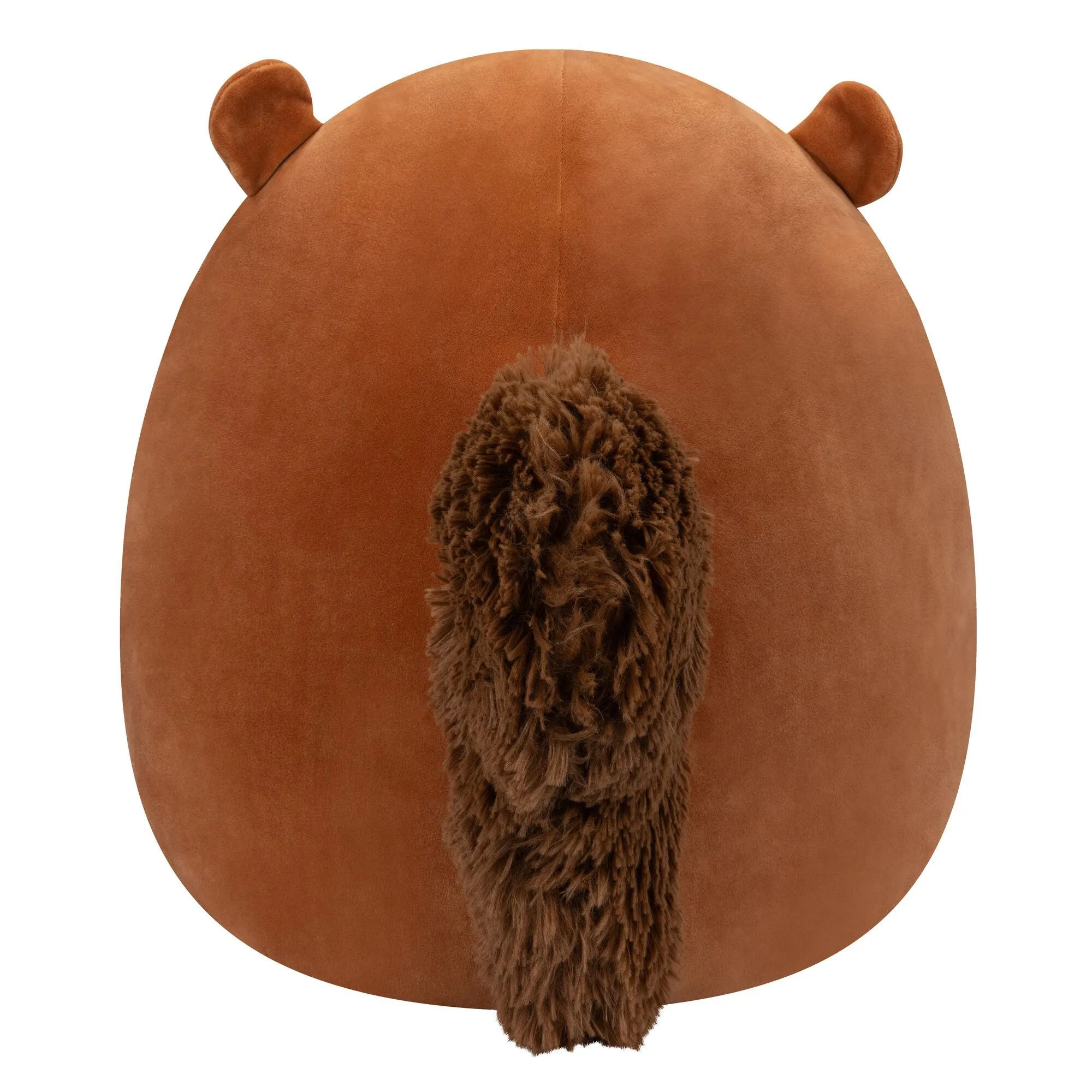 Squishmallows 5 Inch Plush Sawyer The Brown Squirrel